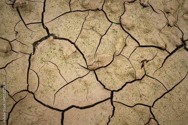 Fototapeta wavy sandy texture closeup