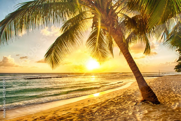 Obraz sunset at the beach