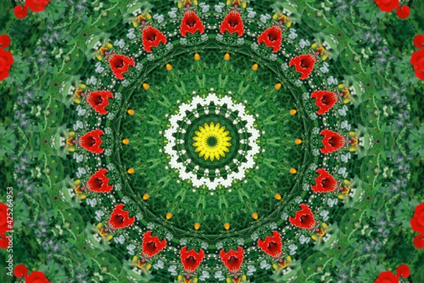 Fototapeta mandala
