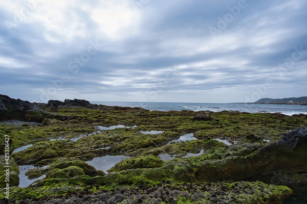 Obraz ヤドカリ探し