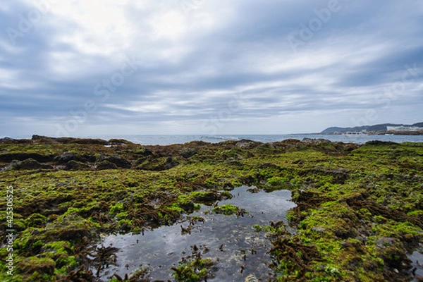 Obraz 青い苔と海、千葉県房総の海