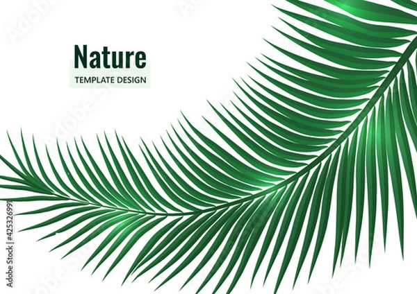 Obraz Abstract tropical style. Palm branch on a white background. Vector illustration