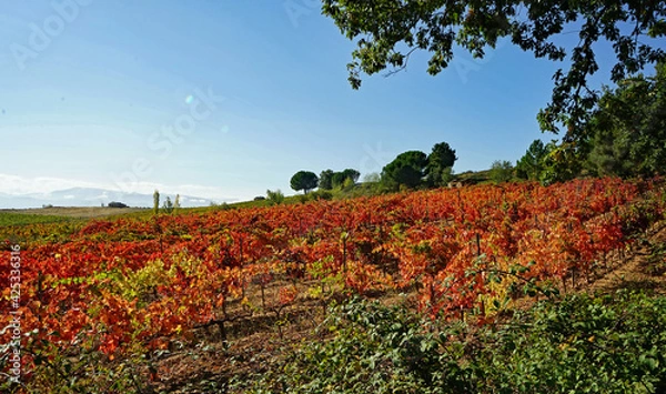 Obraz Jakobsweg Oktober 2020, Bierzo, Spanien