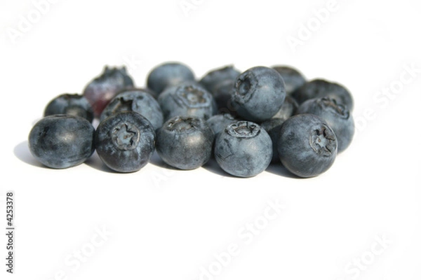 Fototapeta blue berries