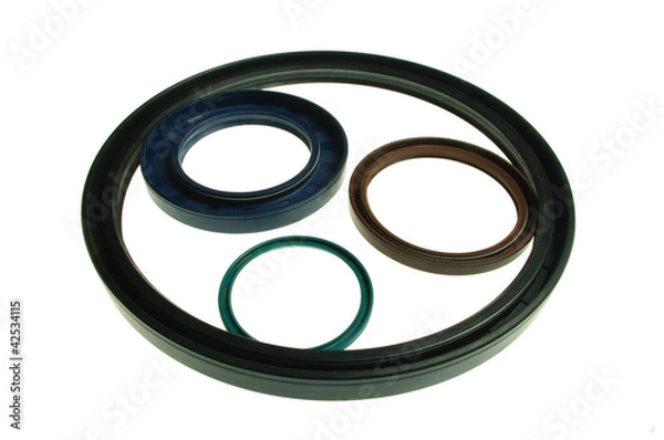 Obraz Oil Seals 1
