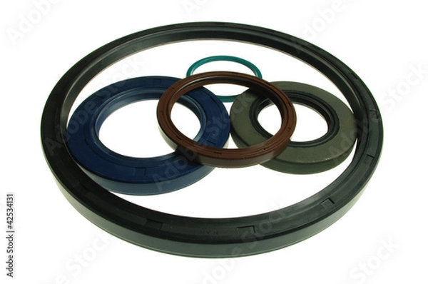 Obraz Oil Seals 2