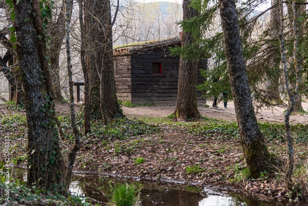 Fototapeta cabaña de madera en el bosque 