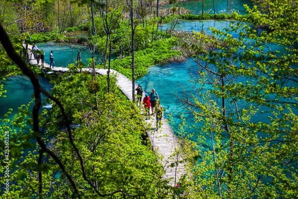 Obraz plitvice lakes national park