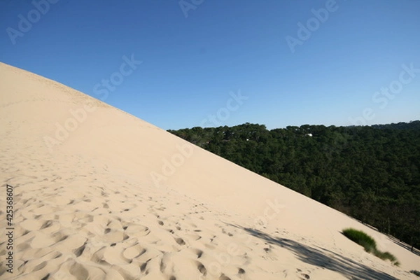 Obraz Dune minimaliste