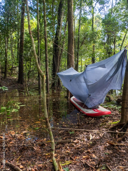 Fototapeta Amazon Jungle