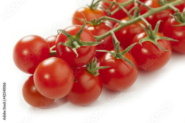 Obraz Cherry tomatoes