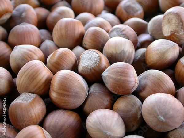 Fototapeta nocciole