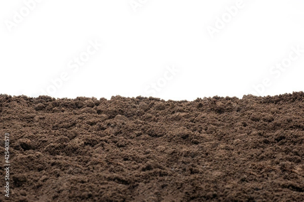 Obraz Soil texture backgeound for graphic design