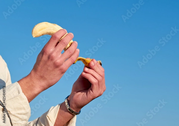 Fototapeta A closeup of a Caucasian man from Spain peeling a ripe yellow banana on clear sky background