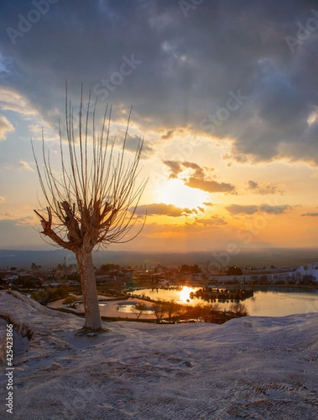 Fototapeta Pammukkale