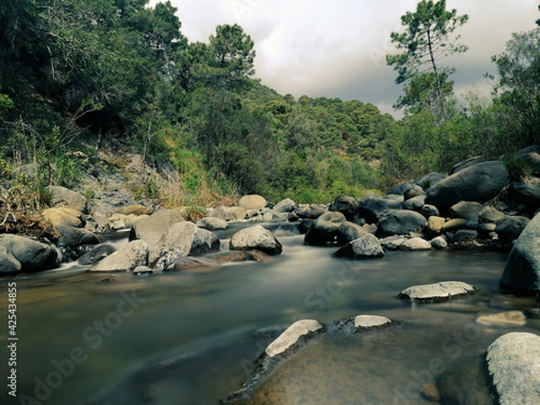 Obraz river and rocks
