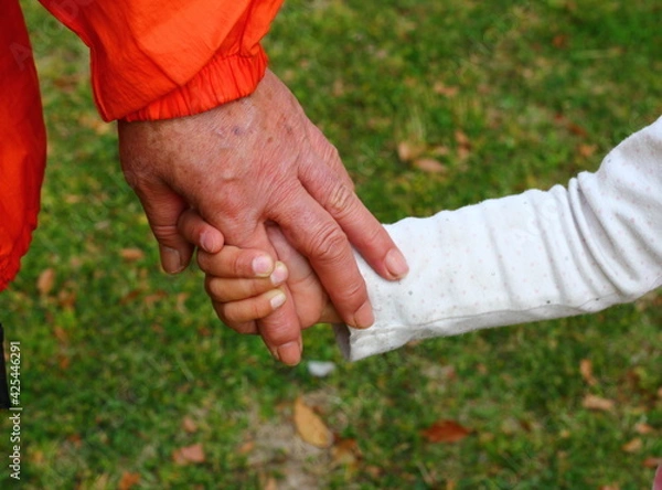 Fototapeta 孫とお散歩