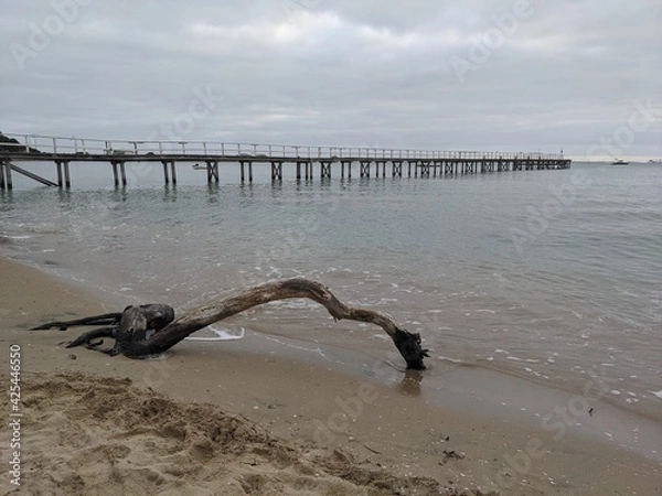 Obraz pier in the sea