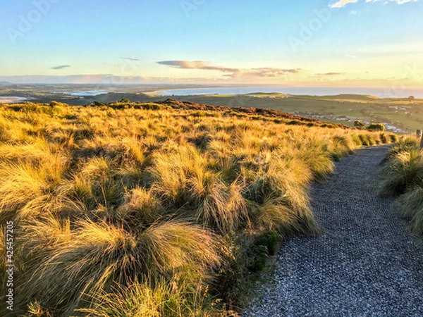 Fototapeta Sunset grass field on the top of The Nut, Stanley, Tasmania, Australia