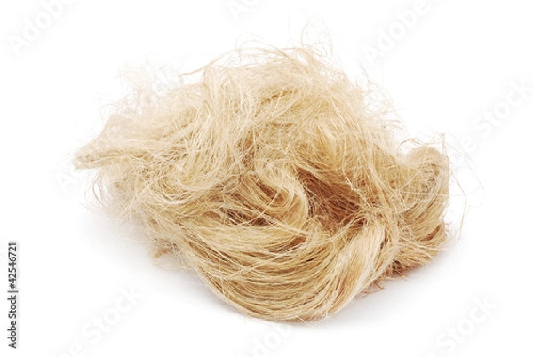 Obraz felt