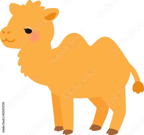 Fototapeta かわいいフタコブラクダ