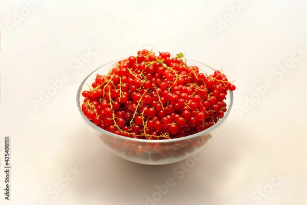 Fototapeta Large bowl of red currant with sprigs on a white background