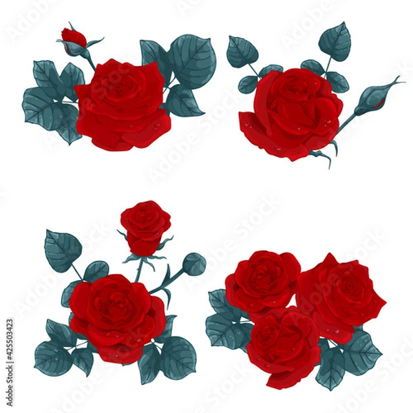 Obraz Set of different bouquets of red roses on a white background. Collection of various beautiful floral design elements for floral decoration of greeting, wedding or invitation card. Vector illustration