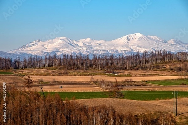 Obraz 春の美瑛の丘と大雪山の風景
