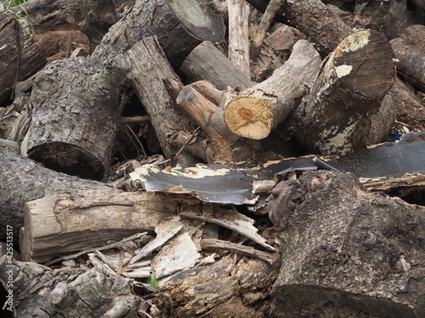 Obraz うち捨てられた材木