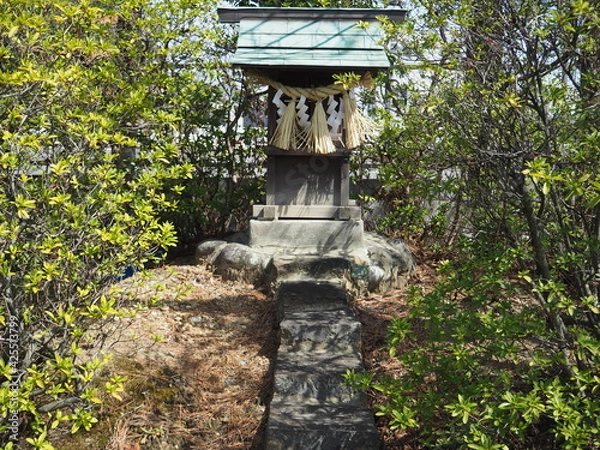 Obraz 小さなお社