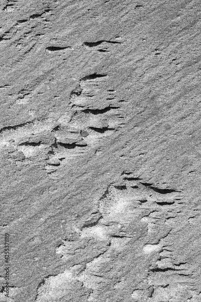 Obraz Intricate patterns form in the sand