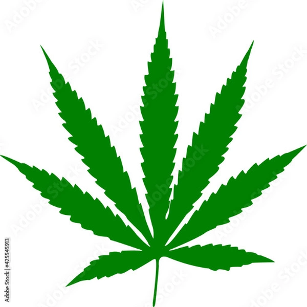 Fototapeta Weed leaf