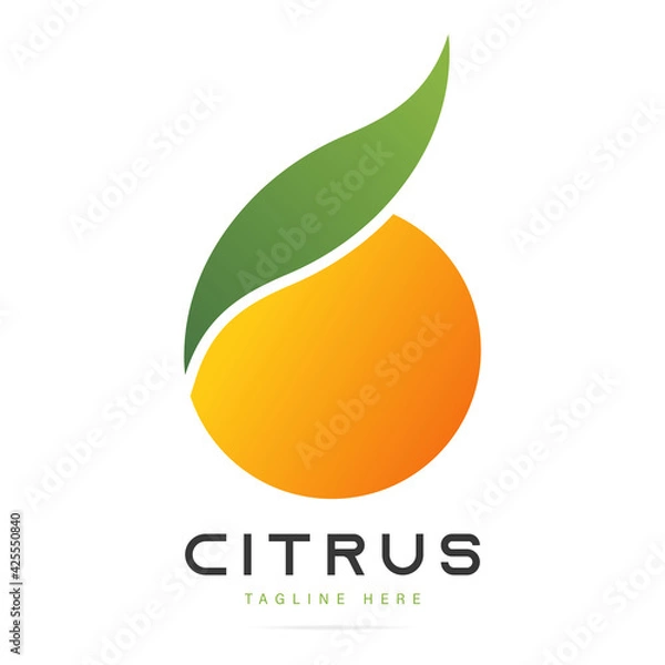 Obraz Abstract bright taste fruit citrus orange logo with green leaf sign.Design template fresh icon,juice concentrate symbol from curved lines.Print for pattern textile fabric.Vector isolated illustration
