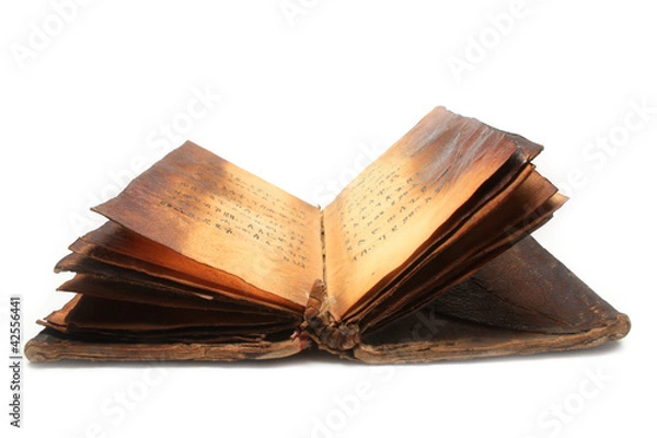 Fototapeta Livre ancien