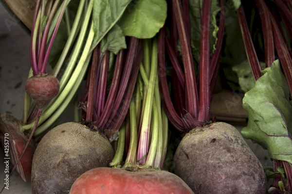 Fototapeta Fresh market vegetables
