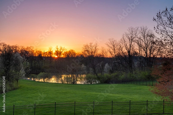 Fototapeta Spring Sunset Over a Pond Surrounded by White and Red Spring Flower Trees