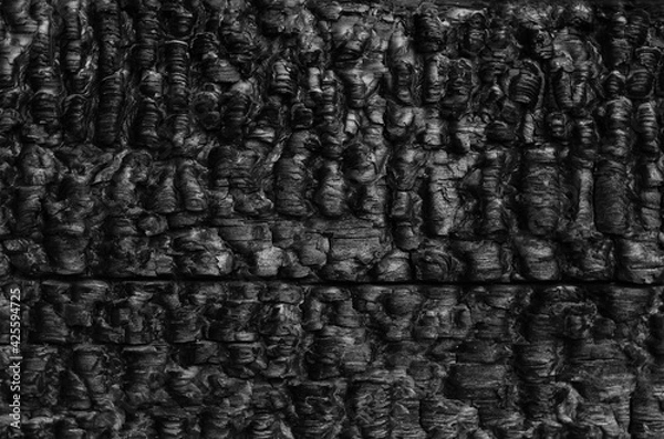 Obraz Burned wooden black wall.