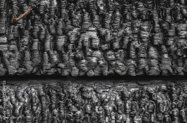 Obraz Burned wooden black wall.