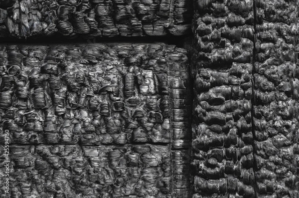 Obraz Burned wooden black wall.