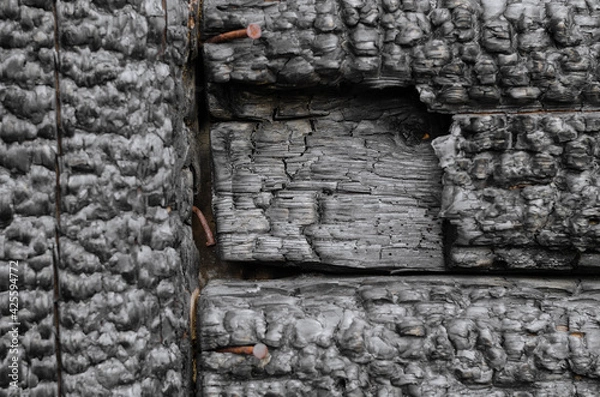 Obraz Burned wooden black wall.