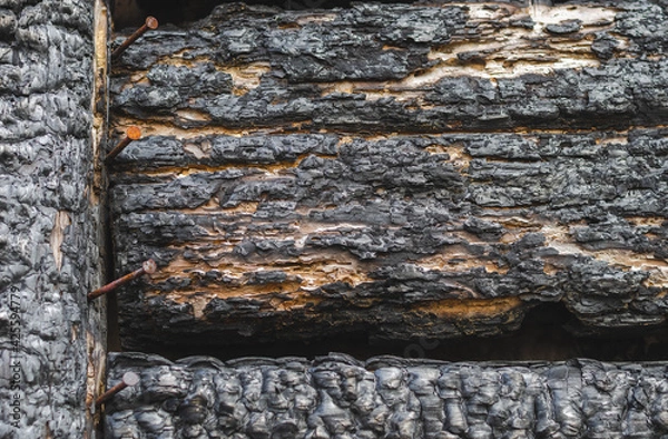 Obraz Burned wooden black wall.