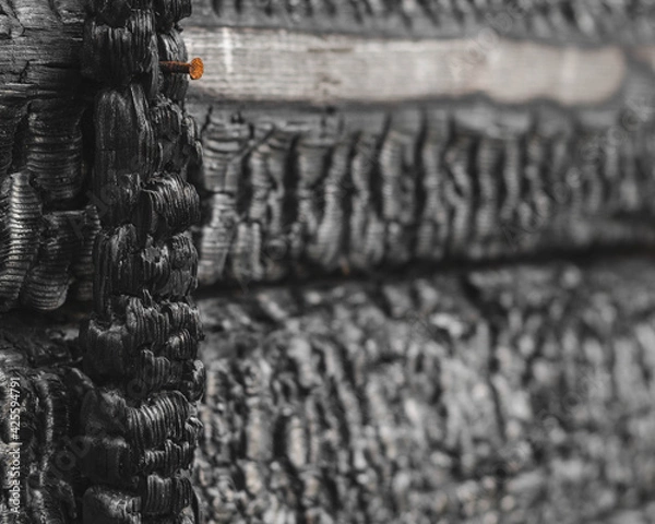 Obraz Burned wooden black wall.