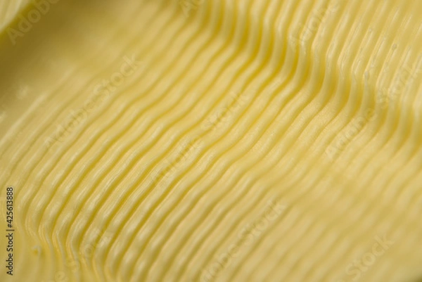 Fototapeta Tiny wavy ripples in yellow butter, super macro close up of a texture