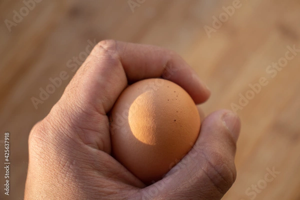 Obraz Woman's hands 'holding' an egg. Little desaturated in brown colour. Chicken egg in hand. Chicken yellow egg in hand
