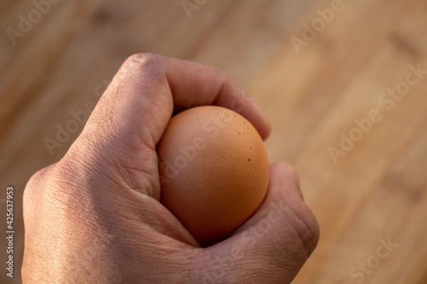 Obraz Woman's hands 'holding' an egg. Little desaturated in brown colour. Chicken egg in hand. Chicken yellow egg in hand