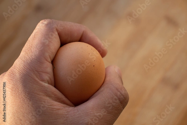 Obraz Woman's hands 'holding' an egg. Little desaturated in brown colour. Chicken egg in hand. Chicken yellow egg in hand