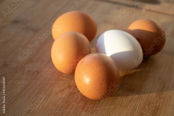 Obraz fresh eggs. Chicken eggs on the table. White chicken egg among the yellow ones