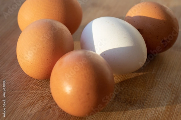 Obraz fresh eggs. Chicken eggs on the table. White chicken egg among the yellow ones