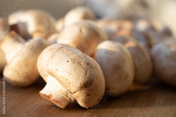 Obraz Fresh healthy brown mushrooms with very shallow depth of field. Mushrooms and champignons on the table. Mushrooms on the table top view