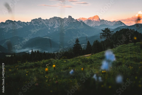Fototapeta View from the top of the mountain valley, flowers and grass in the foreground. Beautiful mountain landscape. High-mountain massif.